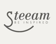 Steeam Company