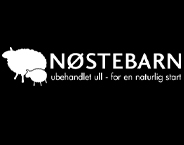 Nøstebarn Sandvika